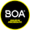 BOA precision fit icon